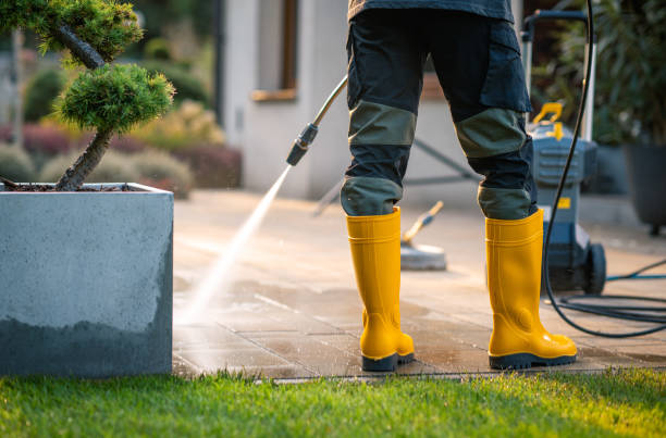 Best House Pressure Washing  in Perry Park, CO